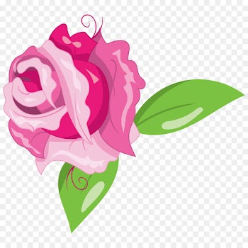 Garden roses Pink Portable Network Graphics Design Wedding - beautiful flowers 