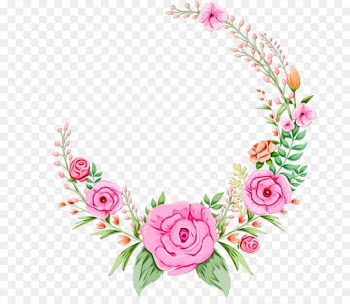Garden Roses, Rose, Cut Flowers, Pink PNG