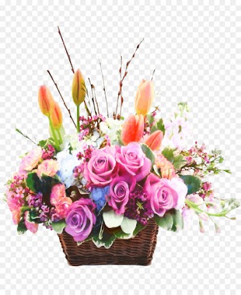 Garden Roses, Rose, Floral Design, Flower, Floristry PNG