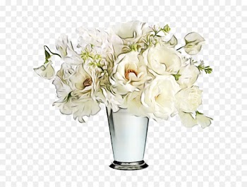Garden Roses, Rose, Flower, White PNG
