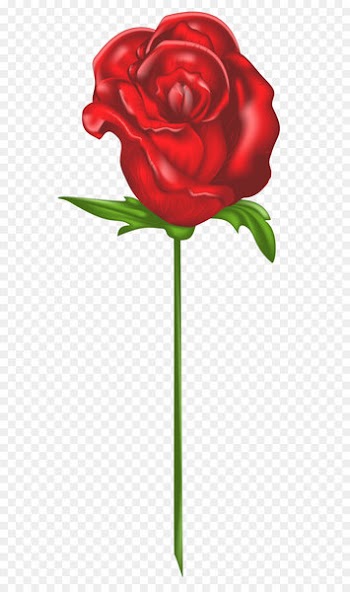 Garden roses Roses, Girona - Red Rose PNG Clipart 