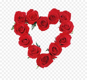 Garden roses Valentine's Day Portable Network Graphics Clip art - rose 