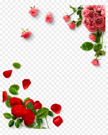 Garden Roses Valentines Day - Rose Png