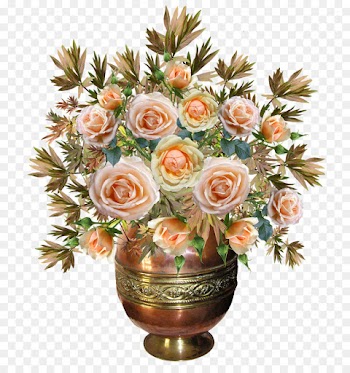 Garden Roses, Vase, Rose, Flowerpot, Flower PNG