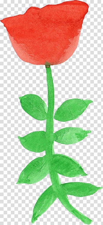 Garden roses Watercolor painting Flower, flower transparent background PNG clipart