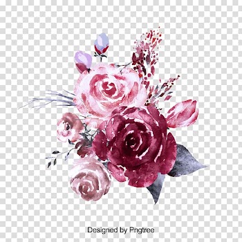 Garden roses Watercolor painting Flower, rose transparent background PNG clipart