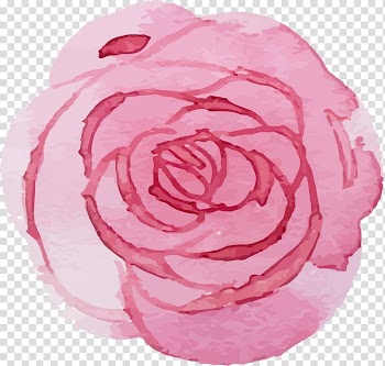 Garden roses Watercolor painting , painting transparent background PNG clipart