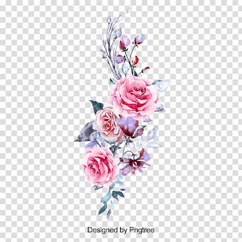 Garden roses Watercolor painting Portable Network Graphics, painting transparent background PNG clipart