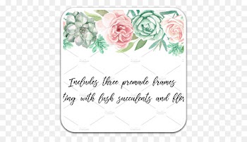 Garden roses Watercolor painting Watercolor: Flowers Clip art Image - anniversarywatercolor stamp 