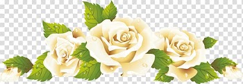 Garden roses Watercolor painting Watercolour Flowers , painting transparent background PNG clipart