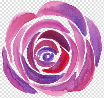 Garden roses Wine NSYNC It\'s Gonna Be Me, colorful abstract lines transparent background PNG clipart