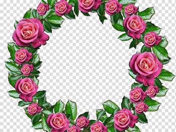 Garden roses Wreath Floral design, rose transparent background PNG clipart