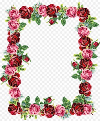 Garden Roses, Wreath, Flower, Pink, Rose PNG