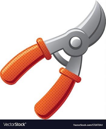  					Garden scissors icon vector image														