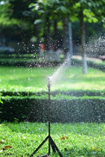 Garden Sprinkler Watering System in Action