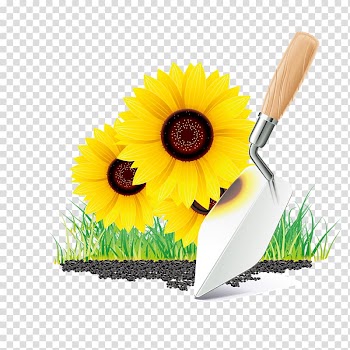 Garden tool Gardening Icon, Sunflower transparent background PNG clipart