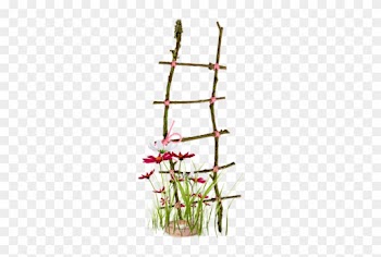 Garden - Transparent Background Png Nature