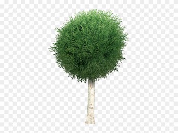 Garden Tree Png By Dbszabo1 - Garden Tree Png