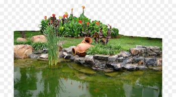 Garden Yard - Artificial lake garden 