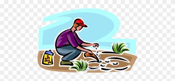 Gardener Planting Seeds Royalty Free Vector Clip Art - Ways Of Conserving Natural Resources
