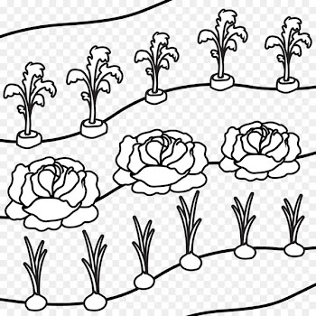 Gardening Lawn Mowers Gladiolus longicollis - riborn symbol 