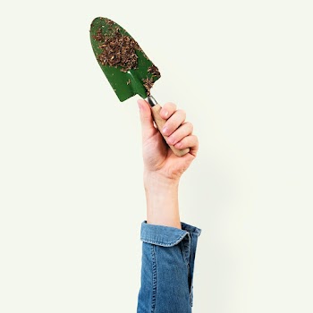 Gardening shovel held by a woman's hand | Free stock photo | High Resolution image