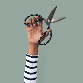 Gardening tool scissor held by a woman's hand | Free stock photo | High Resolution image