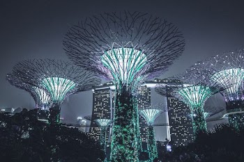 Gardens by the Bay at Singapore during nighttime
