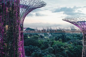 Gardens by the Bay, Singapore