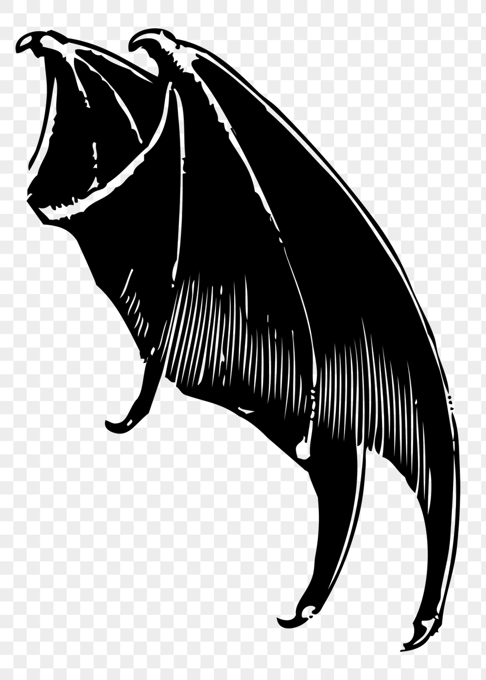 Gargoyle wings png sticker, vintage | Free PNG - rawpixel
