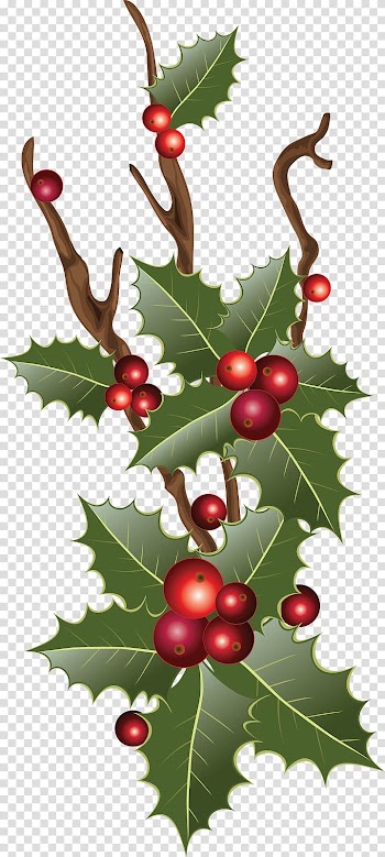 Garland Christmas decoration Christmas ornament Christmas tree, T transparent background PNG clipart