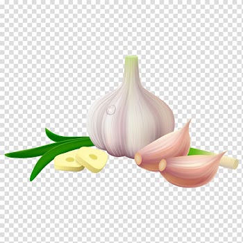 Garlic and onion spring poster, Solo garlic Spice Vegetable, Garlic transparent background PNG clipart