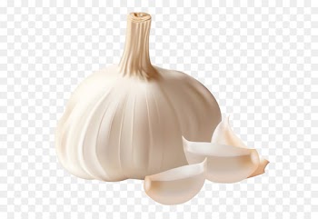Garlic bread Clip art - Garlic Clipart PNG Picture 