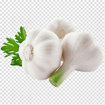 Garlic bread Vegetable Onion Food, garlic transparent background PNG clipart