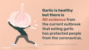 Garlic does not help with coronavirus prevention social template sourc.. | Free  psd mockup - 2316418