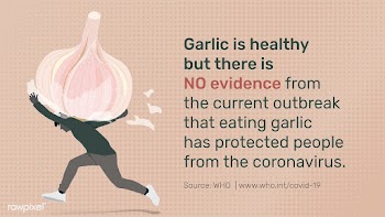 Garlic does not protect people from the coronavirus awareness message .. | Free  illustration - 2318218