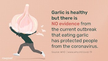 Garlic does not protect people from the coronavirus awareness message .. | Free  vector - 2317672