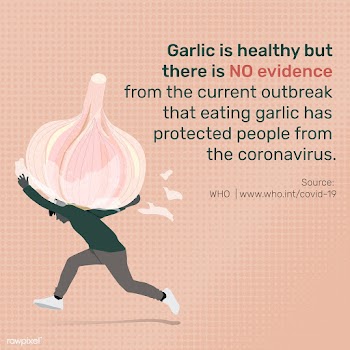 Garlic does not protect people from the coronavirus awareness message .. | Free  vector - 2318212