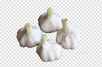 Garlic Food Vegetable, garlic transparent background PNG clipart