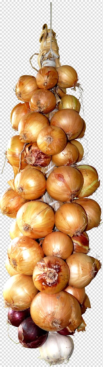 Garlic Onion Food Vegetable, garlic transparent background PNG clipart