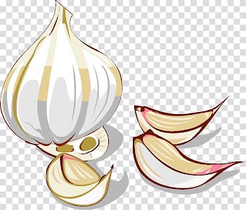 Garlic Onion Vegetable , garlic transparent background PNG clipart