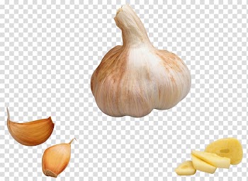 Garlic Onion Vegetable, garlic transparent background PNG clipart