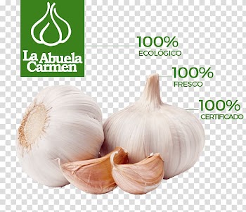 Garlic Organic food Vegetable The Stinking Rose, garlic transparent background PNG clipart