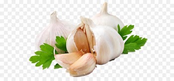 Garlic press Shallot Vegetable Alternative Health Services - Garlic PNG 