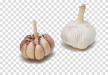 Garlic Shallot Vegetable, garlic transparent background PNG clipart