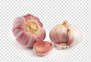 Garlic Shallot Vegetable Organic food Veggie burger, garlic transparent background PNG clipart