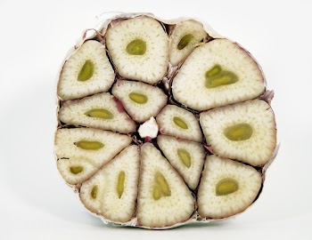 GarlicEF_0842.jpg