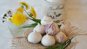 Garlics Beside Yellow Flowers and White Jar