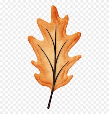 Gartengestaltung Tübingen Https - Leaf