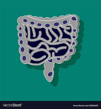 Gastrointestinal tract paper sticker on stylish vector image